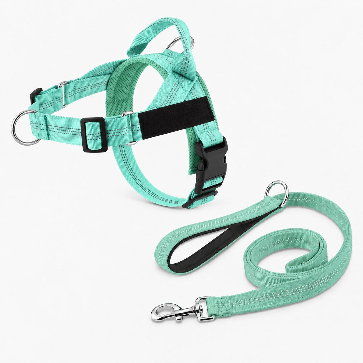 Harnais anti-traction chien vert menthe avec laisse assortie