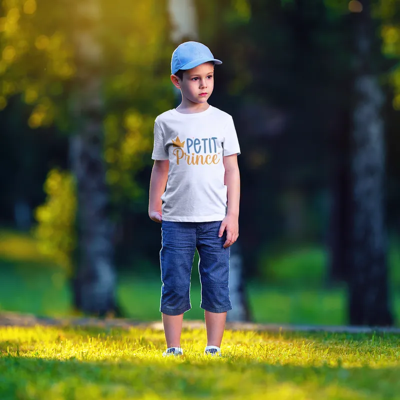 petitprince211