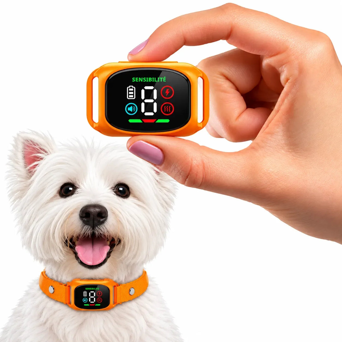 Anti-barking device