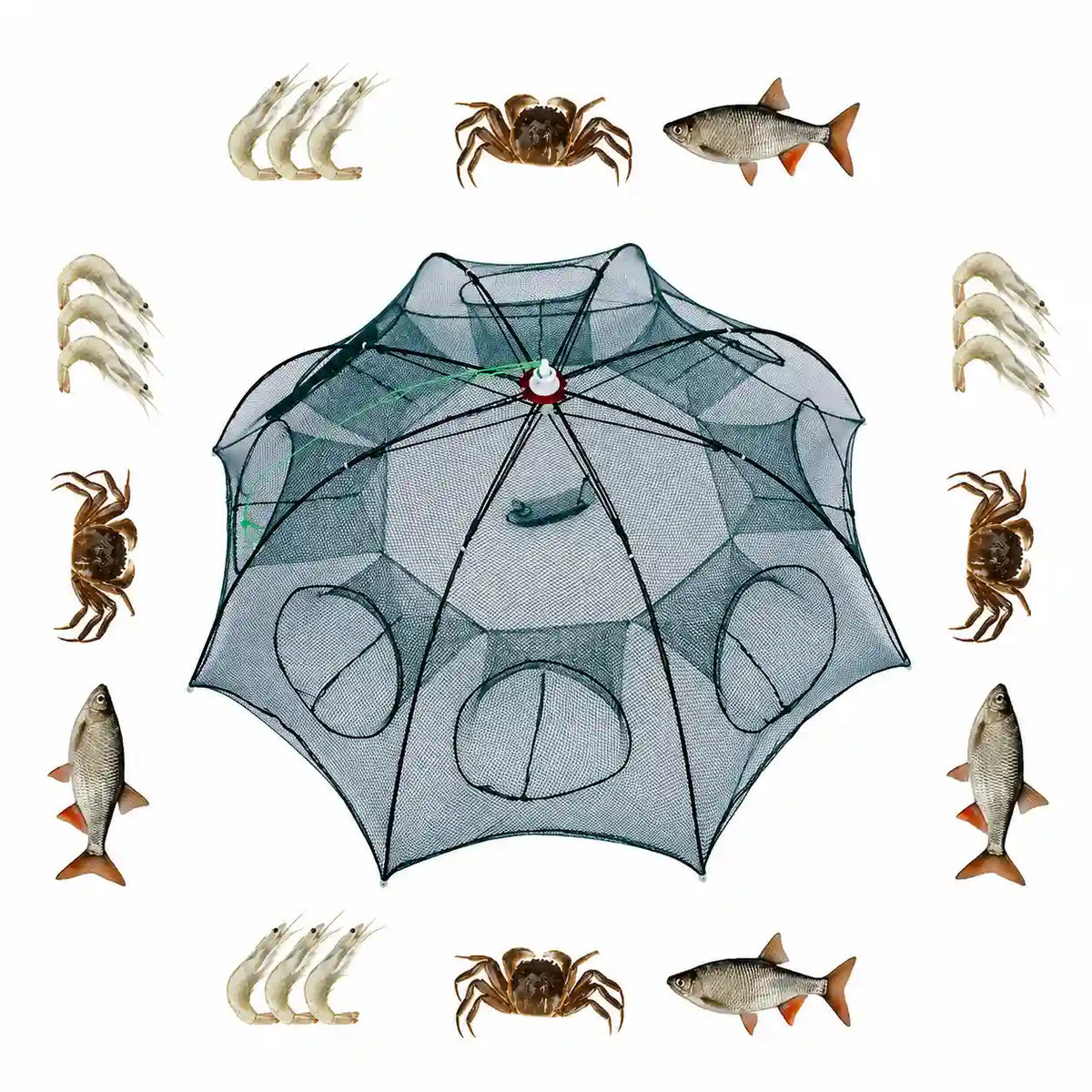 Fishing net