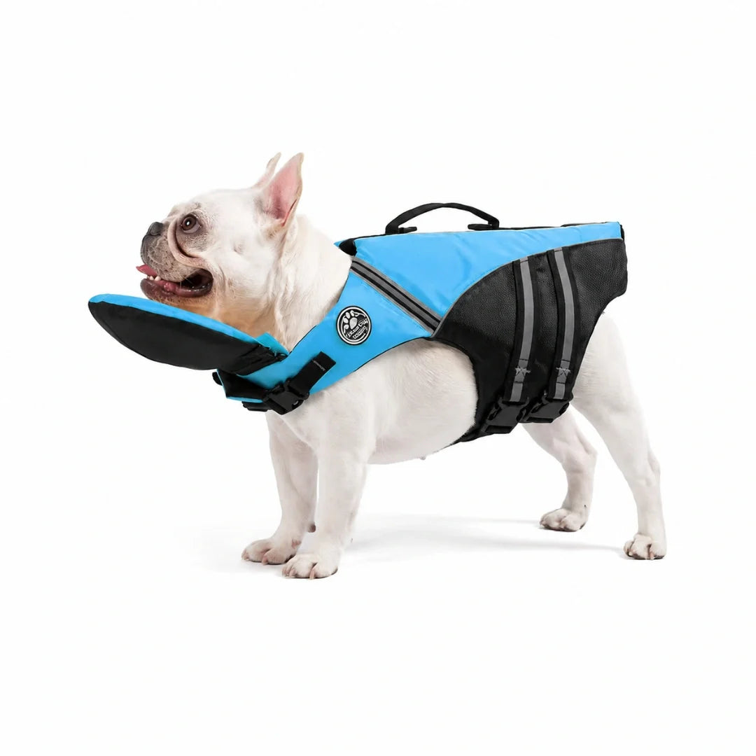 Safety Vest