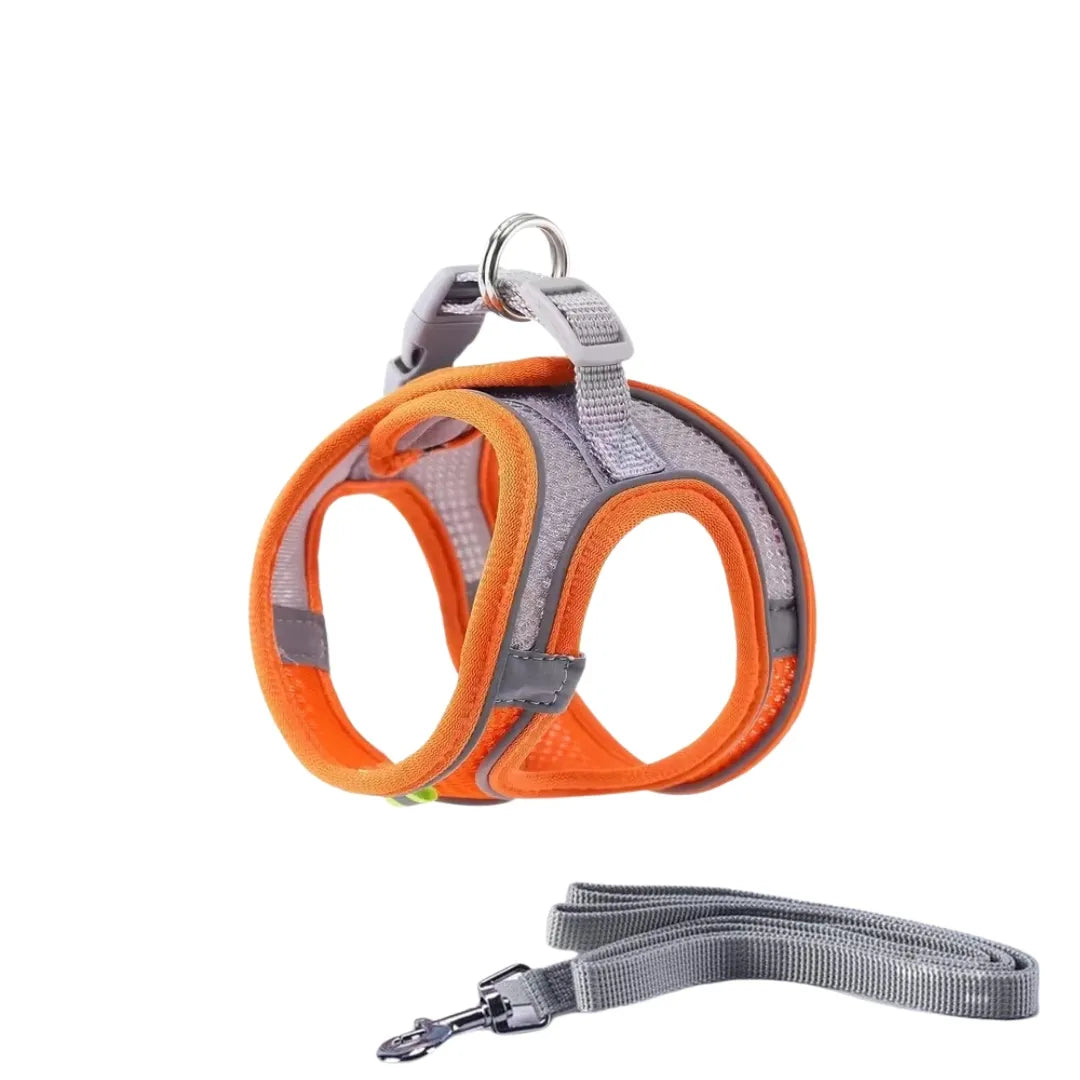 Cat harness